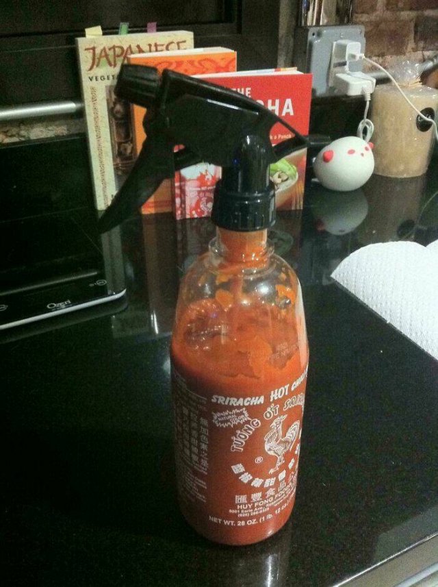 Redneck Engineering (25 pics)
