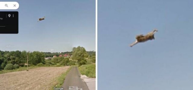 Unusual Finds In Google Street View (24 pics)
