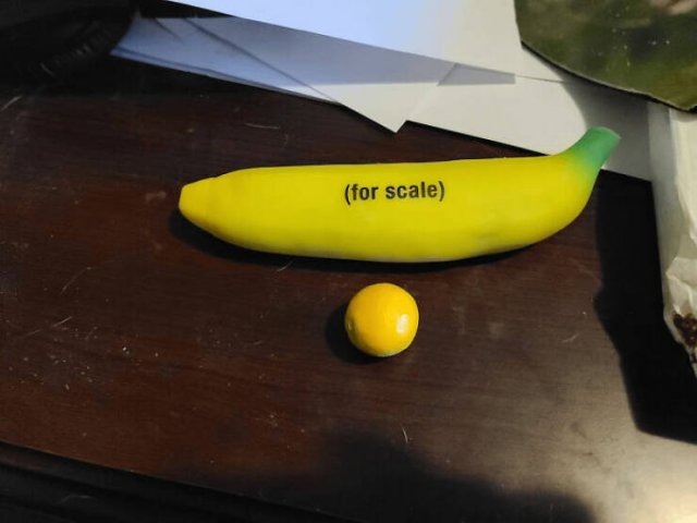 Failed But Cute Harvest (25 pics)