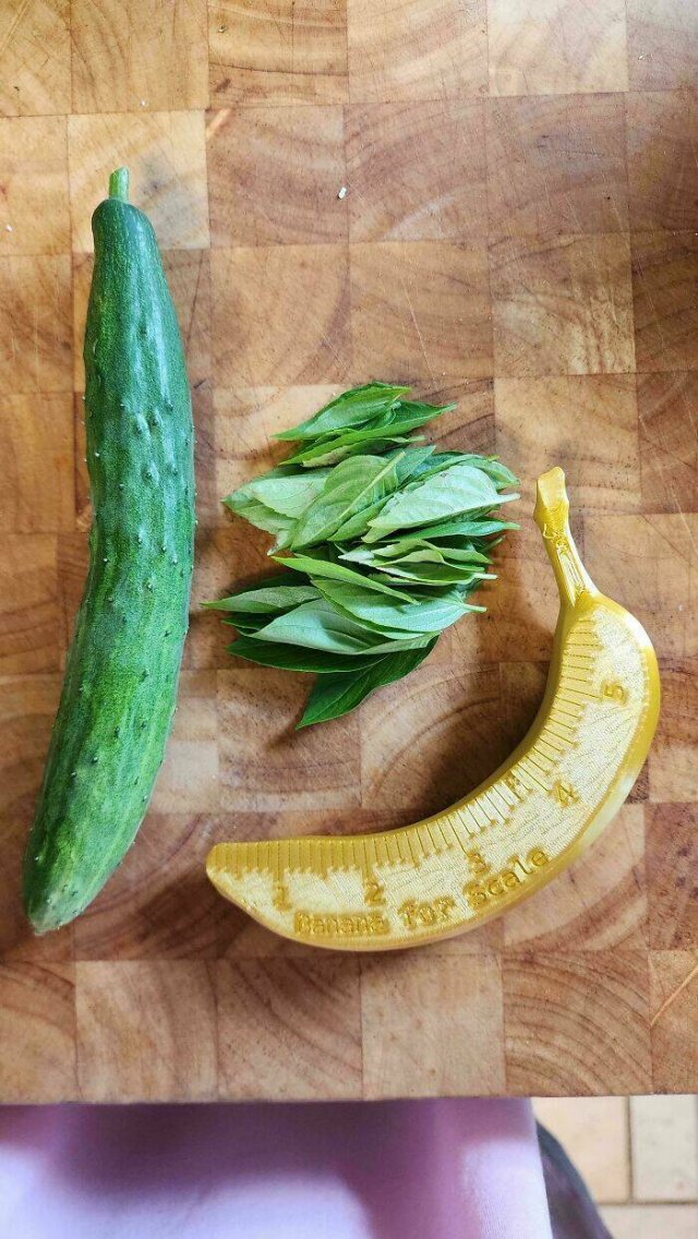 Failed But Cute Harvest (25 pics)