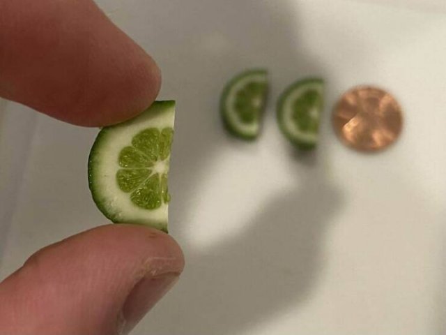 Failed But Cute Harvest (25 pics)