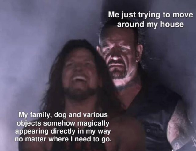 Truthful Memes (18 pics)