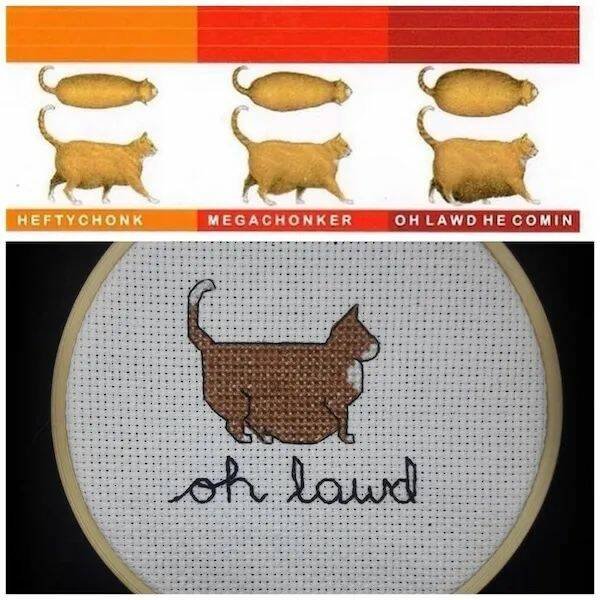 Memes For Animal Lovers (25 pics)