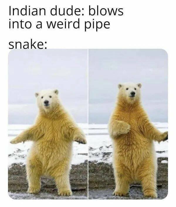 Memes For Animal Lovers (25 pics)