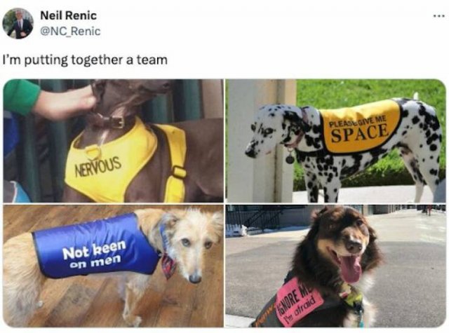 Funny Tweets (19 pics)