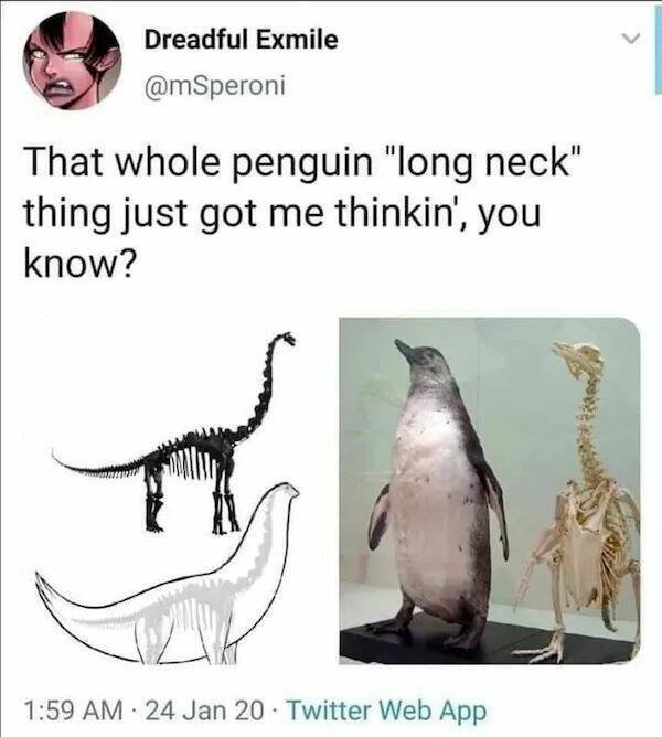 Memes For Animal Lovers (25 pics)
