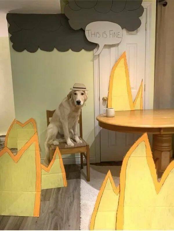 Memes For Animal Lovers (25 pics)