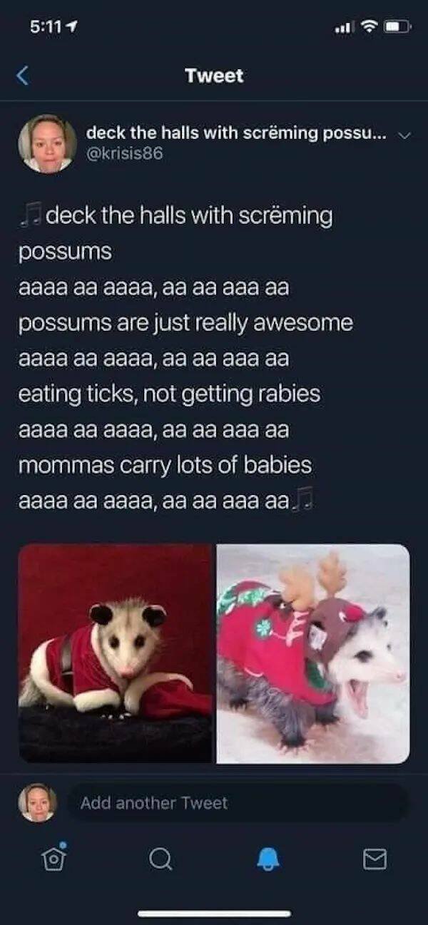 Memes For Animal Lovers (25 pics)