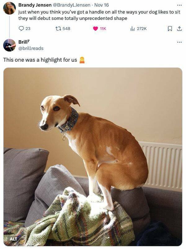 Funny Tweets (19 pics)