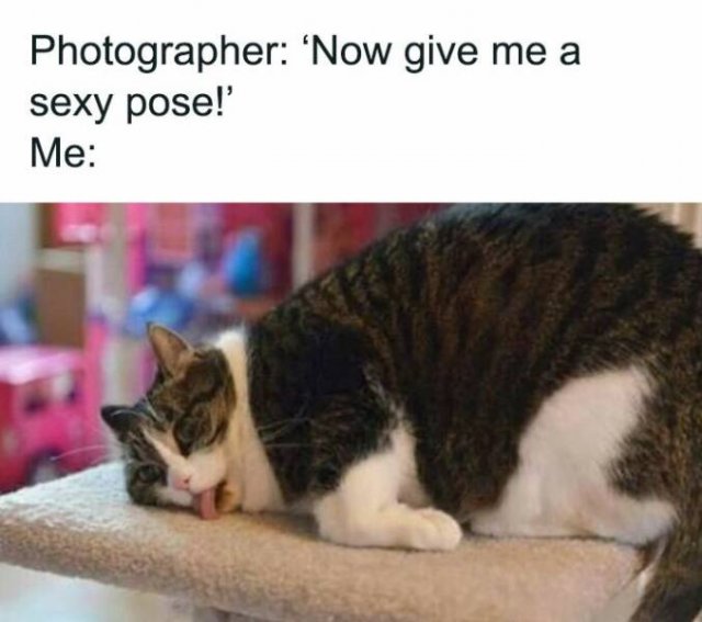 Jokes For Women (24 pics)