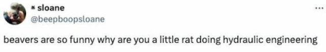 Funny Tweets (19 pics)