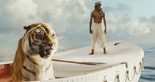 People Share Their Favorite Movies (23 gifs)