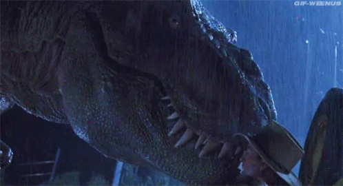 People Share Their Favorite Movies (23 gifs)
