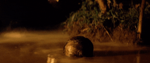 People Share Their Favorite Movies (23 gifs)