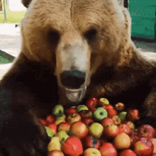 Surprising Food Facts (15 gifs) Surprising Food Facts (15 gifs)