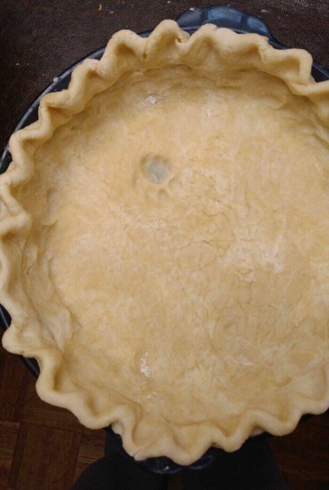 Thanksgiving Fails (24 pics)
