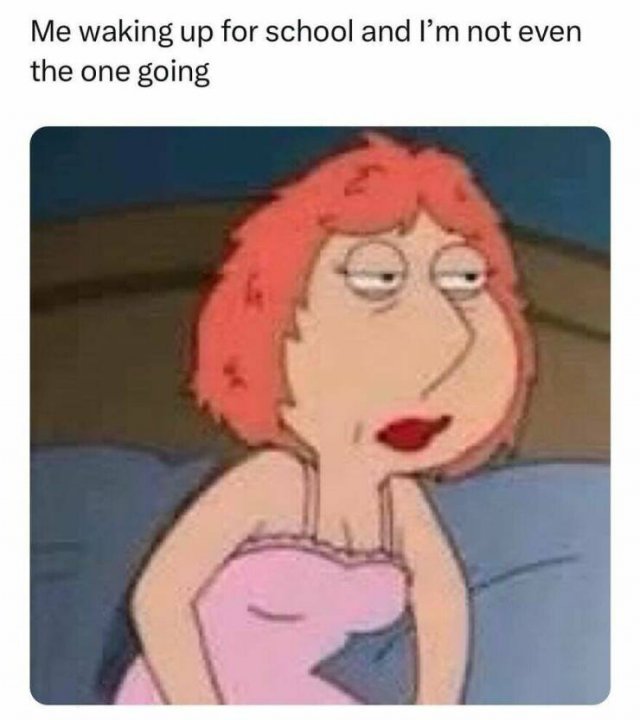 Truthful Memes (25 pics)