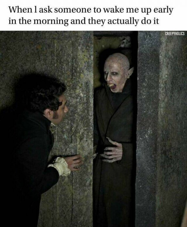 Memes For Horror Movie Fans (25 pics)
