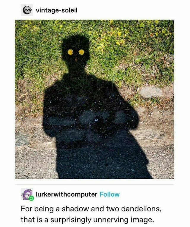 Memes For Horror Movie Fans (25 pics)