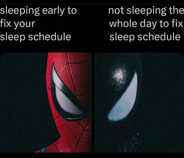 Truthful Memes (25 pics)