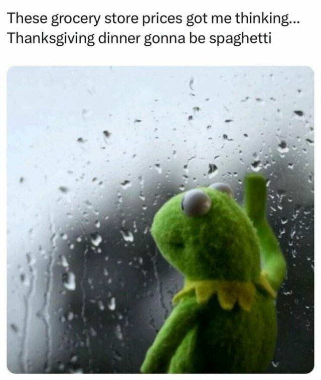 Truthful Memes (25 pics)