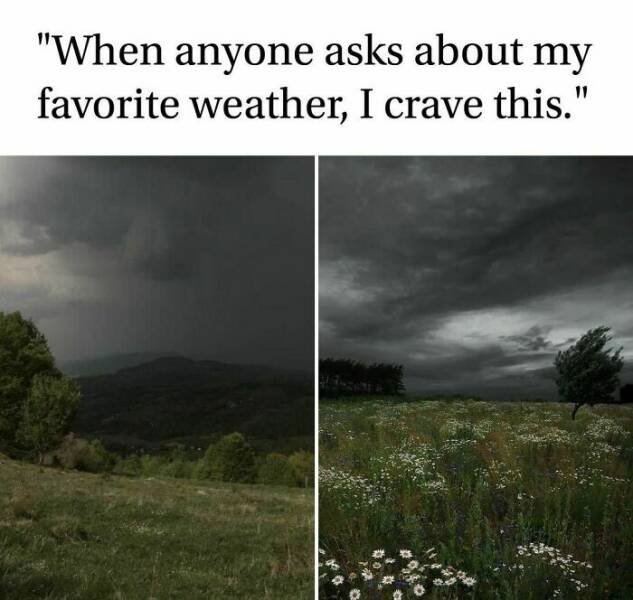 Memes For Horror Movie Fans (25 pics)