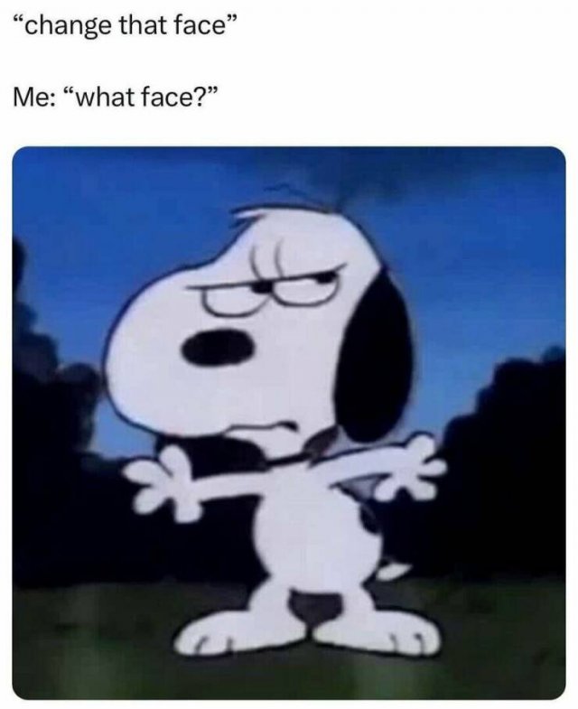 Truthful Memes (25 pics)