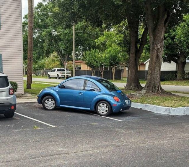 Annoying People And Situations (24 pics)