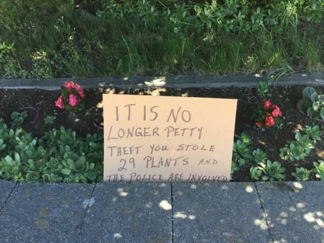 Crazy And Weird Signs (26 pics)