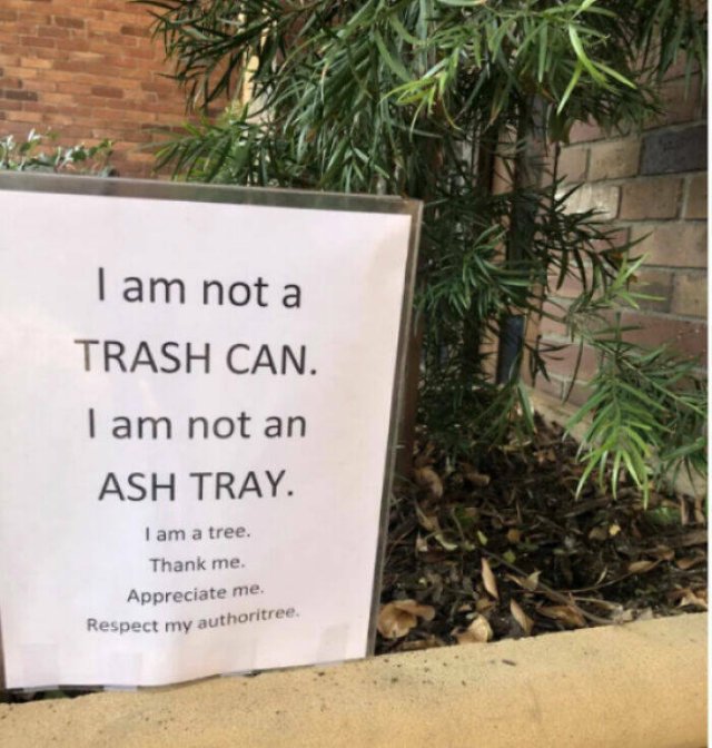 Crazy And Weird Signs (26 pics)
