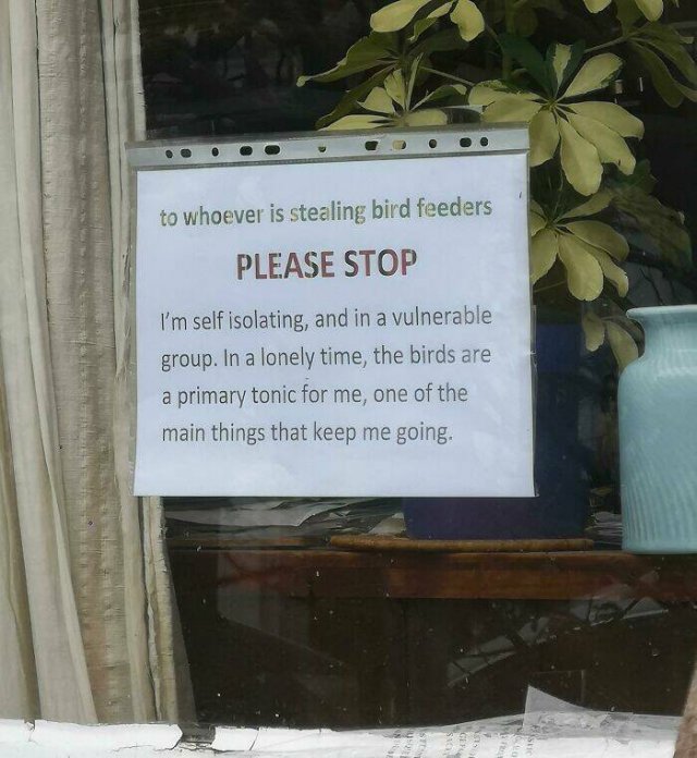 Crazy And Weird Signs (26 pics)