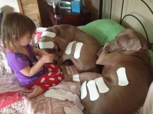 Kids Are Chaos (23 pics)