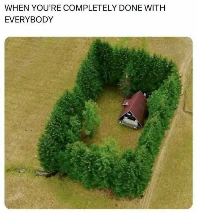 Memes For Introverts (20 pics)