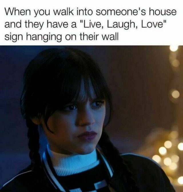 Memes For Introverts (20 pics)