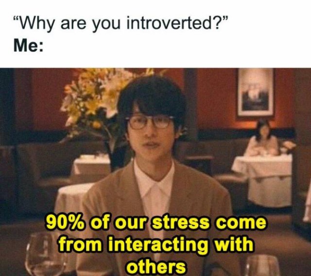 Memes For Introverts (20 pics)