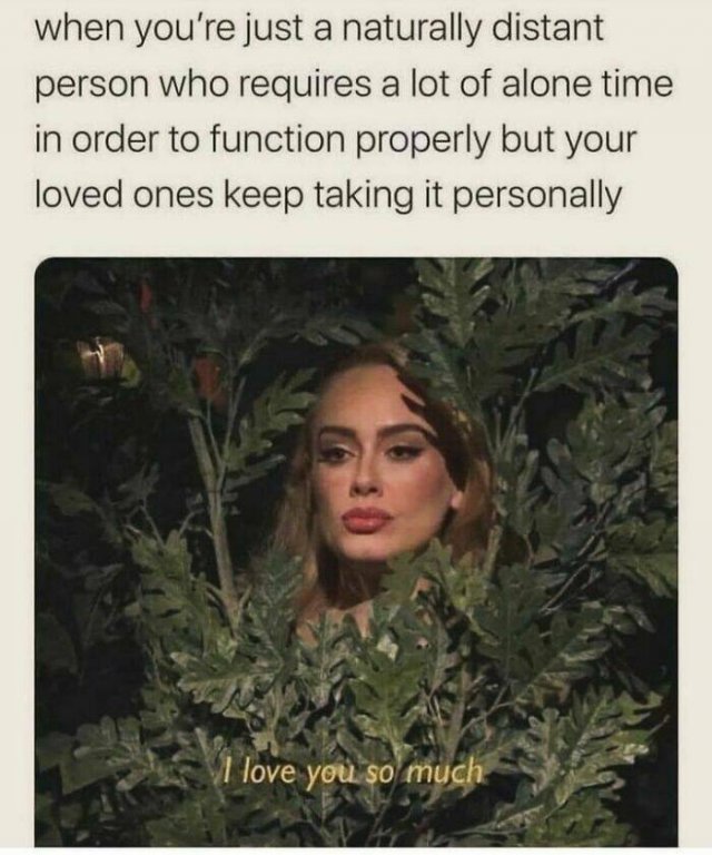 Memes For Introverts (20 pics)