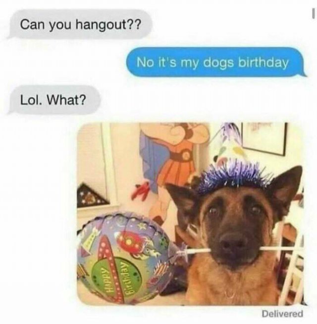 Memes For Introverts (20 pics)