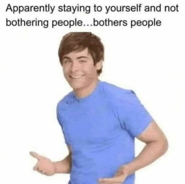 Memes For Introverts (20 pics)