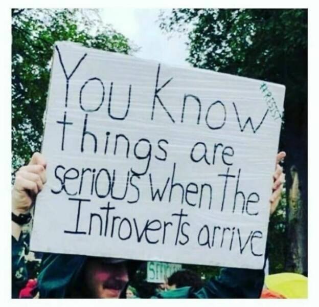 Memes For Introverts (20 pics)