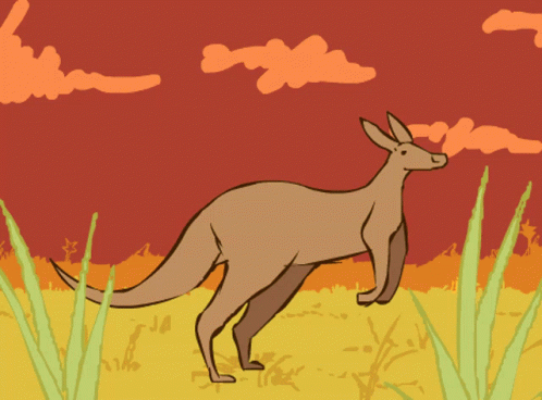 Random Facts (15 gifs)