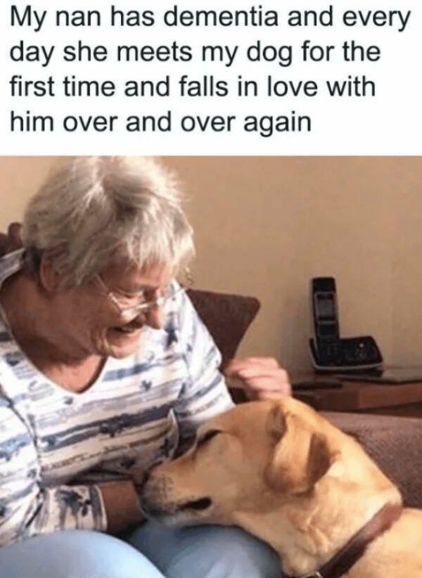 Heartwarming Jokes (28 pics)