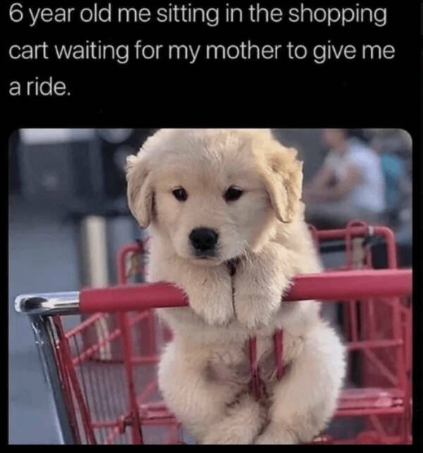Heartwarming Jokes (28 pics)