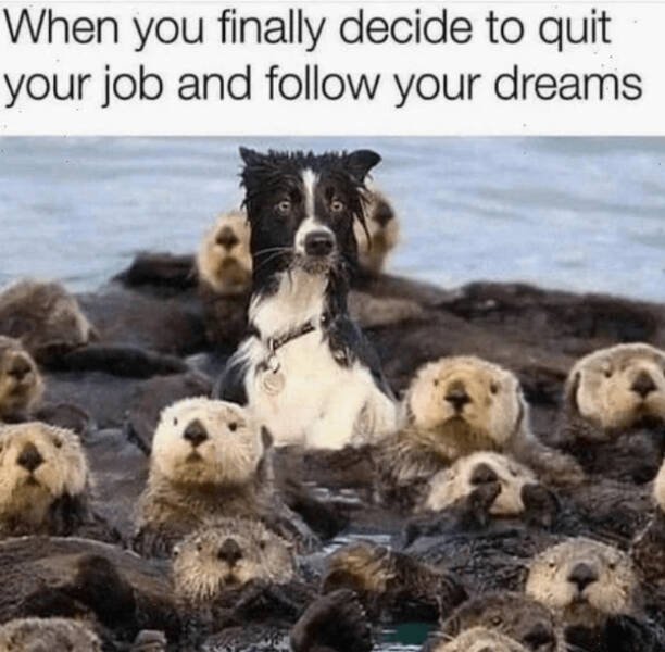 Heartwarming Jokes (28 pics)