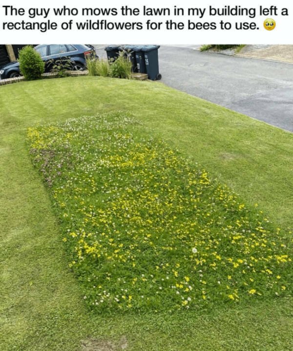 Heartwarming Jokes (28 pics)