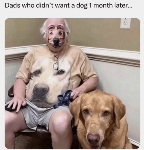 Heartwarming Jokes (28 pics)