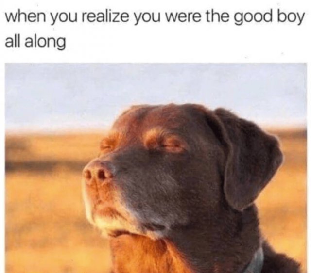Heartwarming Jokes (28 pics)