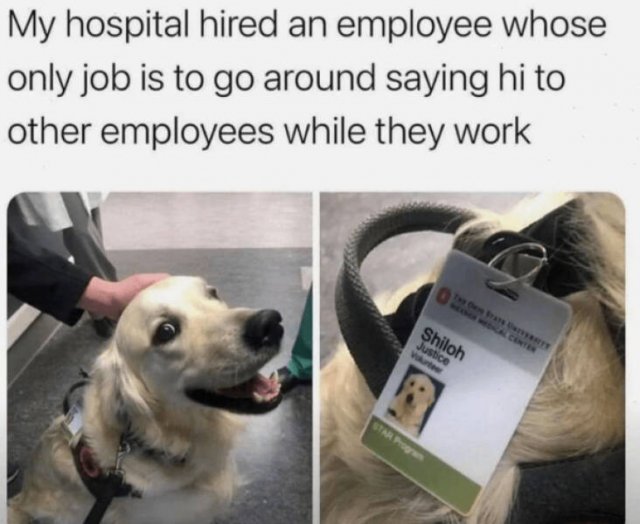 Heartwarming Jokes (28 pics)