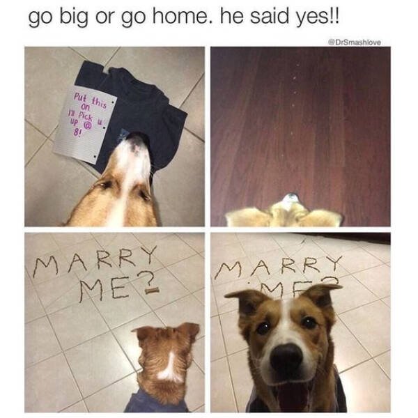 Heartwarming Jokes (28 pics)