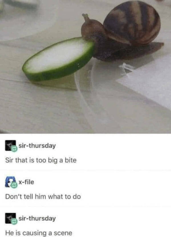 Heartwarming Jokes (28 pics)