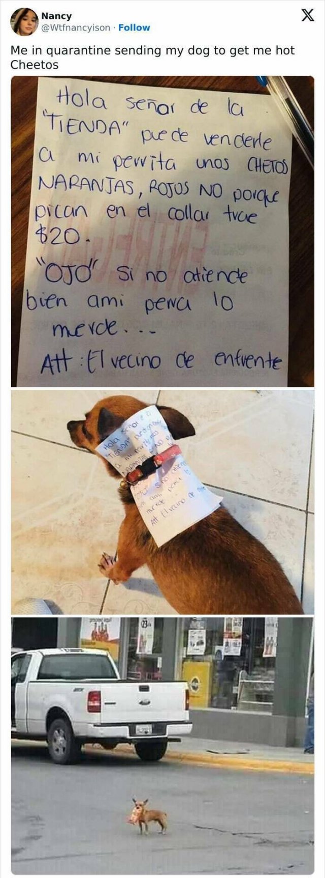 Jokes For Women (21 pics)
